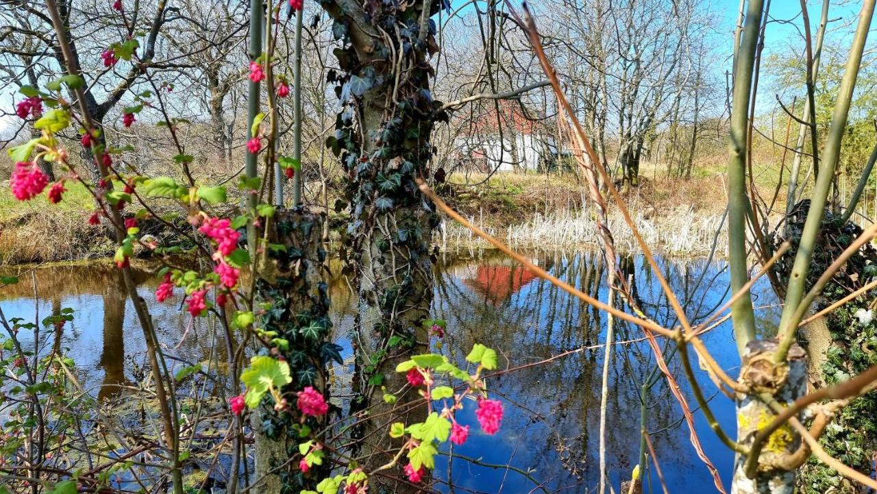 Bornholm Majalis Apartament