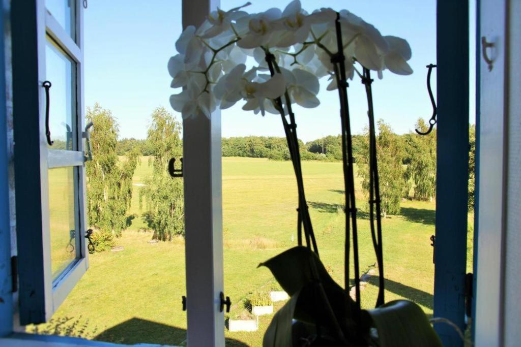 Bornholm Majalis Apartament
