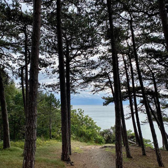 Bornholm Majalis Rønne